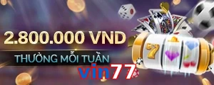 vin77