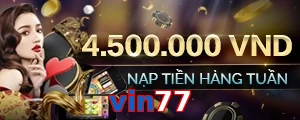 vin77