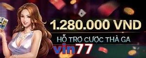 vin77