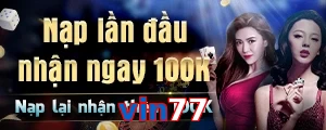 vin77