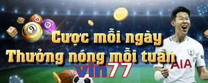 vin77